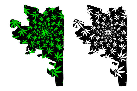 Puducherry (States and union territories of India, Republic of India) map is designed cannabis leaf green and black, Karikal (Karaikal, French India) map made of marijuana (marihuana,THC) foliage....
