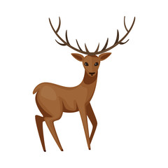 Vector design of moose and animal icon. Set of moose and antler stock symbol for web.