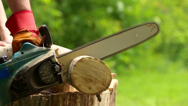 Worker hands with chainsaw cutting tree