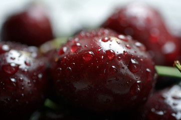 Water droplets on a fresh burgundy cherry