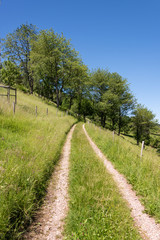 Hiking trails in the landscape by Muenstertal