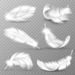 Fototapeta Realistic white feathers. Birds plumage, falling fluffy twirled feather, flying angel wings feathers. Realistic isolated vector set obraz