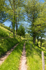 Hiking trails in the landscape by Muenstertal