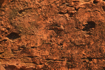  The photo shows the texture of an old brick closeup.