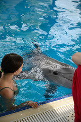 young beautiful brunette woman in a swimsuit swims and plays with a funny cute sea dolphin. Emotional rest in the water park. positive emotions, communication with marine mammals © evgeniykleymenov