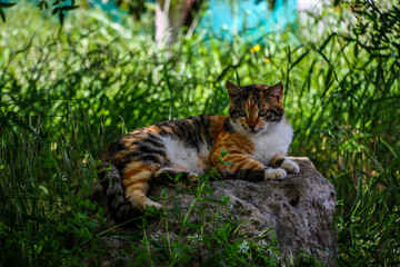 190414 Пафос Кипр Paphos Archaeological Park Cyprus