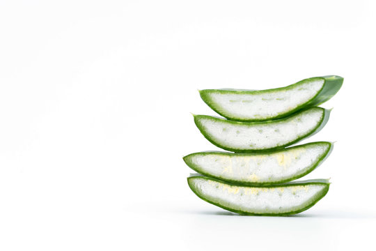 aloe vara on white background