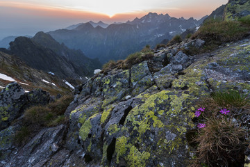 Fototapeta premium Beautiful scenery of the High Tatras mountains in Slovakia