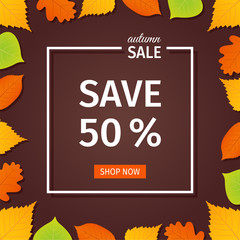 Sale banner. Vector. Autumn flyer template with fall leaves. Poster, card, label, web design. Bright background. Illustration with colorful leaf.