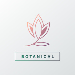 Natural and organic logo in modern design. Natural logo template for branding, corporate identity, packaging and business card.