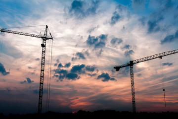 Two cranes on sunset background with clouds