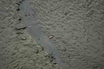 土色の泥の質感