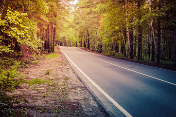 Fototapeta premium A winding mountain road at sunset in a pine forest. Serpentine. Sun rays light and shadow sun