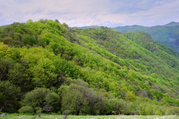 Voevodin dol vratsa