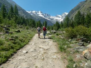 Fototapeta na wymiar Italia valle D'Aosta, Parco Gran Paradiso, valle di Cogne
