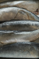Carcasses of fatty delicious herring