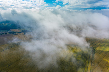 Cloudy and misty morning in latvian countryside.