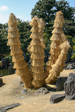 Interesting thatched effect in a Japanese style garden