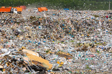 Municipal landfill for domestic waste. Trucks unload garbage at the landfill. Gulls fly over the garbage and get food from it