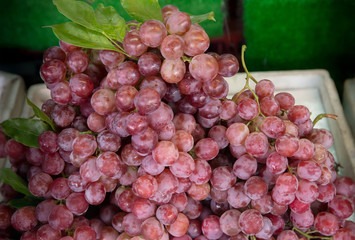 Close up red grape on the shelf in fresh market. healthy fruits for anti oxidant. image for background, wallpaper and copy space.
