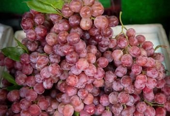 Close up red grape on the shelf in fresh market. healthy fruits for anti oxidant. image for background, wallpaper and copy space.