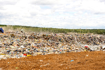 Municipal landfill for domestic waste. Trucks unload garbage at the landfill. Gulls fly over the garbage and get food from it