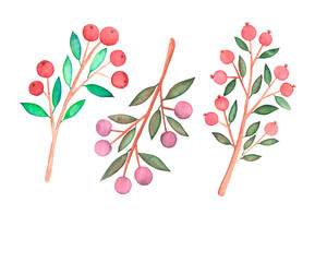 Watercolor hand drawn illustration of twigs on white background. Set of isolated elements with leaves and berries for design.