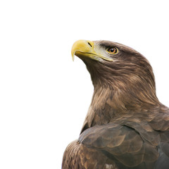 www.arkuswork.com