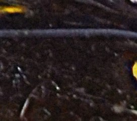 Abstract art grunge texture background. Dirty pattern for graphic design. Creative painting wallpaper. Vintage oil painting on canvas. Simple close up backdrop.