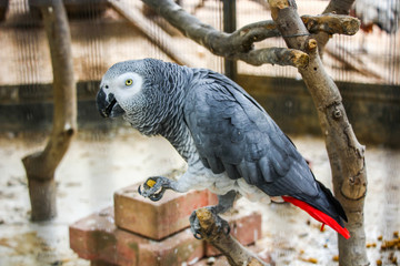 190415 Верблюжий Парк Кипр Camel Park Cyprus