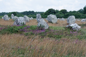 Menhiry w Carnac