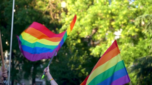 A spectator waves a gay rainbow flag at an LGBT summer gay pride parade