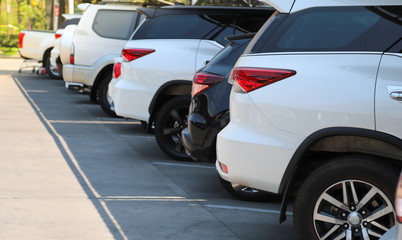 Closeup of rear, back side of white car with other cars parking in outdoor parking lot in bright sunny day. 