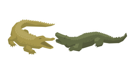 Crocodile vector cartoon crocodilian character of green alligator carnivore illustration animalistic set of dangerous amphibian predator with jaws isolated on white background