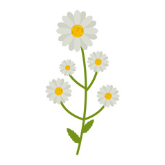 Fototapeta premium Chamomile flowers flat icon, wild flowers, plant vector illustration isolated on white background