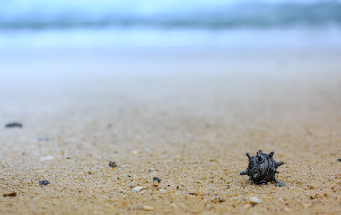 silver color mine toy on the sands