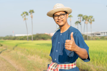 Fototapeta premium Thai male farmers who enjoy good quality rice in the rice fields in the Thai countryside.
