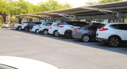 Fototapeta premium Closeup of rear, back side of white car with other cars parking in parking lot under roof in bright sunny day. 