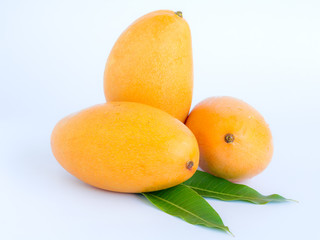 ripe mangos on white background