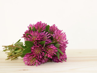 Bouquet of clover on wooden background
