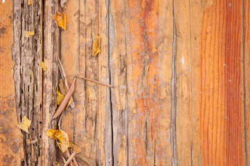 Orange wood texture background surface with old natural pattern and leaves