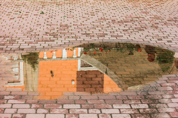 reflection in a puddle of a fragment of the old city wall flowers lettering vintage