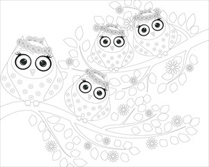 Fototapeta premium Coloring book for adult and older children. Coloring page with cute owl and floral frame. Outline drawing in zentangle style