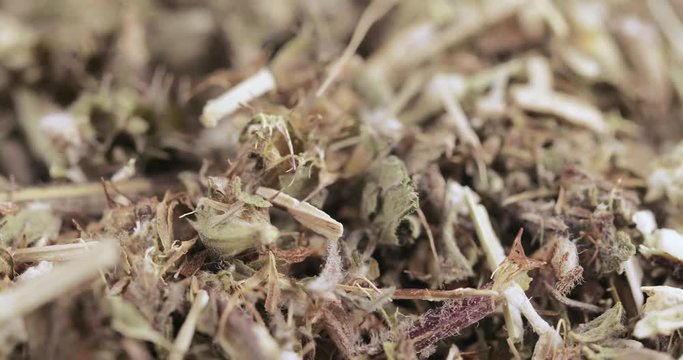Motherwort grass in bulk