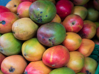 Color mango in fresh market at Lausanne, Switzerland