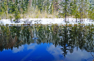 Mountain lake surrounded by coniferous forest covered with white snow on a sunny spring day