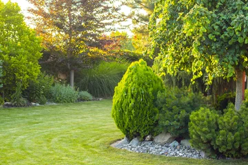 Papier Peint photo autocollant Jardin jardin à la maison avec des arbres et des plantes décoratifs