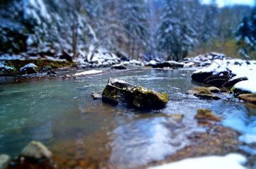 Mountain stony river surrounded by coniferous forest covered with white snow on a sunny spring day