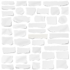 Set of paper different shapes fragments isolated on white background