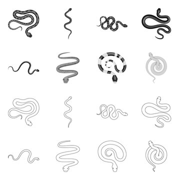 Vector design of mammal and danger logo. Set of mammal and medicine vector icon for stock.